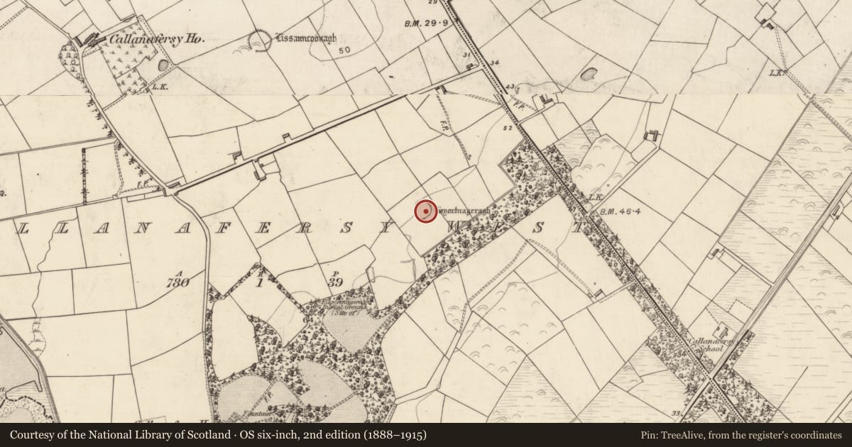 Ordnance Survey six-inch map, 2nd edition (1888–1915) covering the location of Ringfort - rath, Callanafersy West, County Kerry, with a pin at the register's coordinates