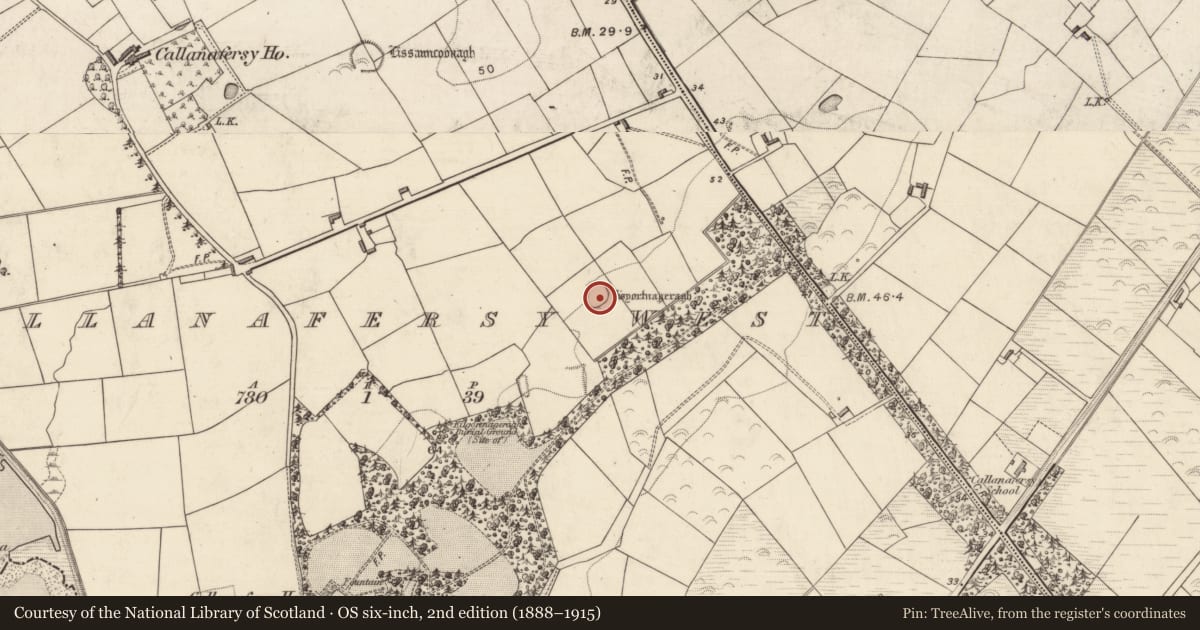 Ordnance Survey six-inch map, 2nd edition (1888–1915) covering the location of Souterrain, Callanafersy West, County Kerry, with a pin at the register's coordinates