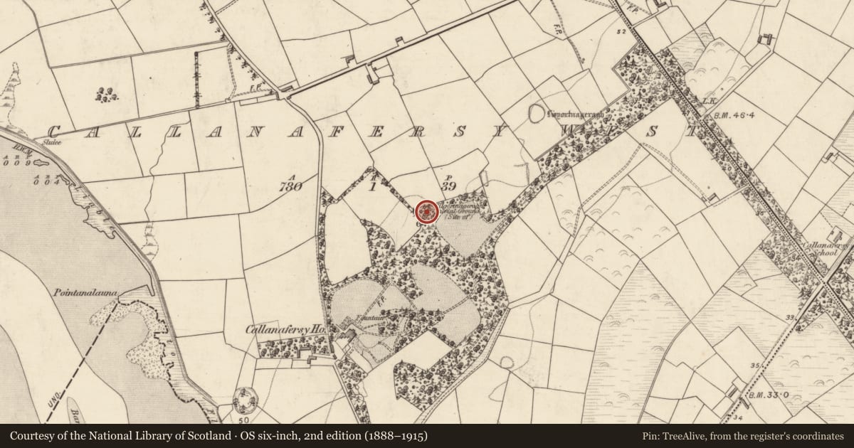 Ordnance Survey six-inch map, 2nd edition (1888–1915) covering the location of Burial ground, Callanafersy West, County Kerry, with a pin at the register's coordinates