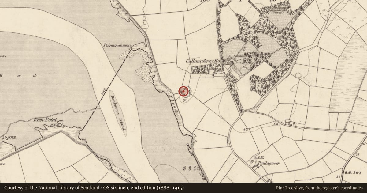 Ordnance Survey six-inch map, 2nd edition (1888–1915) covering the location of Hut site, Callanafersy West, County Kerry, with a pin at the register's coordinates