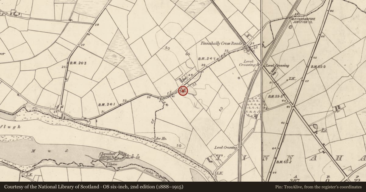 Ordnance Survey six-inch map, 2nd edition (1888–1915) covering the location of Castle - motte and bailey, Callanafersy West, Tinnahally, County Kerry, with a pin at the register's coordinates