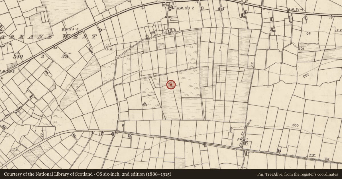 Ordnance Survey six-inch map, 2nd edition (1888–1915) covering the location of Ringfort - rath, Garrane East, County Kerry, with a pin at the register's coordinates