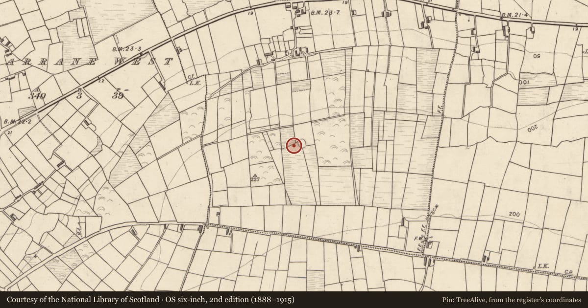 Ordnance Survey six-inch map, 2nd edition (1888–1915) covering the location of Children's burial ground, Garrane East, County Kerry, with a pin at the register's coordinates