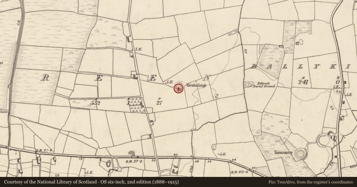 Ordnance Survey six-inch map, 2nd edition (1888–1915) covering the location of Ringfort - rath, Reen, County Kerry, with a pin at the register's coordinates