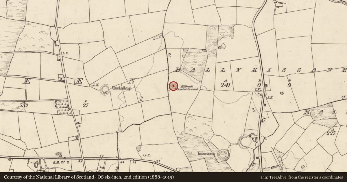 Ordnance Survey six-inch map, 2nd edition (1888–1915) covering the location of Rock art, Ballykissane, County Kerry, with a pin at the register's coordinates