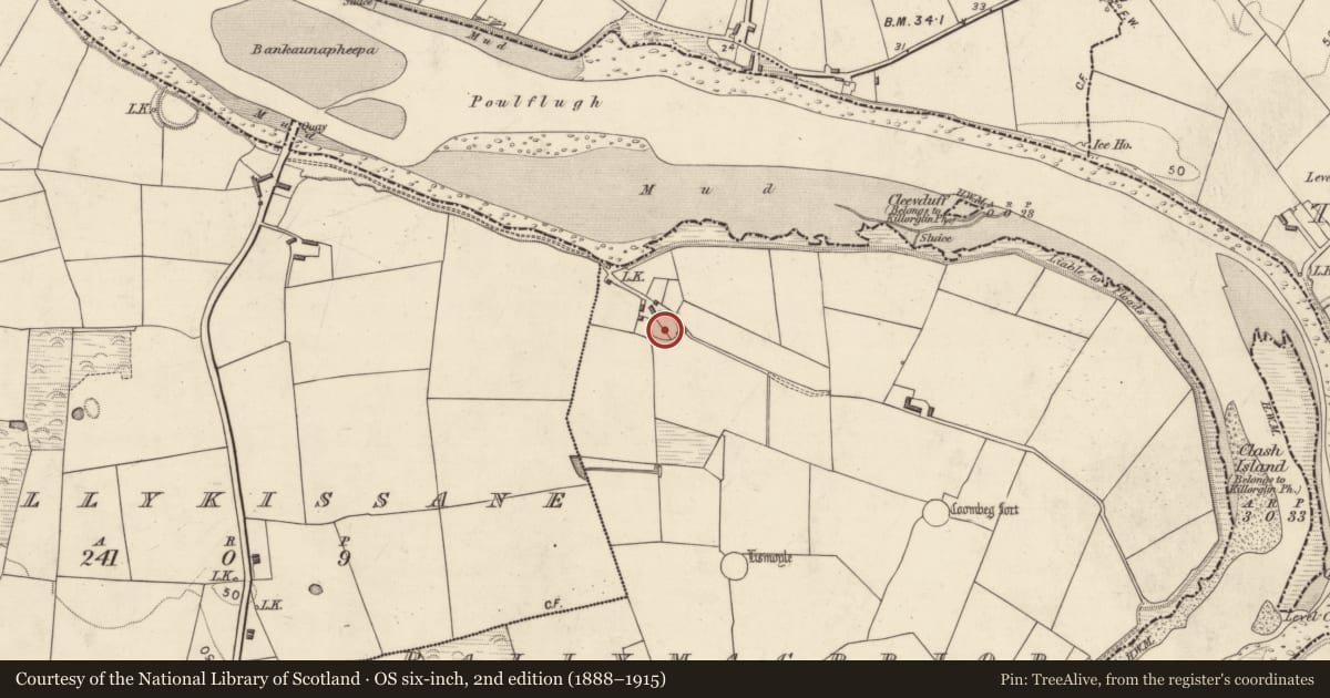 Ordnance Survey six-inch map, 2nd edition (1888–1915) covering the location of Ringfort - rath, Ballymacprior, County Kerry, with a pin at the register's coordinates