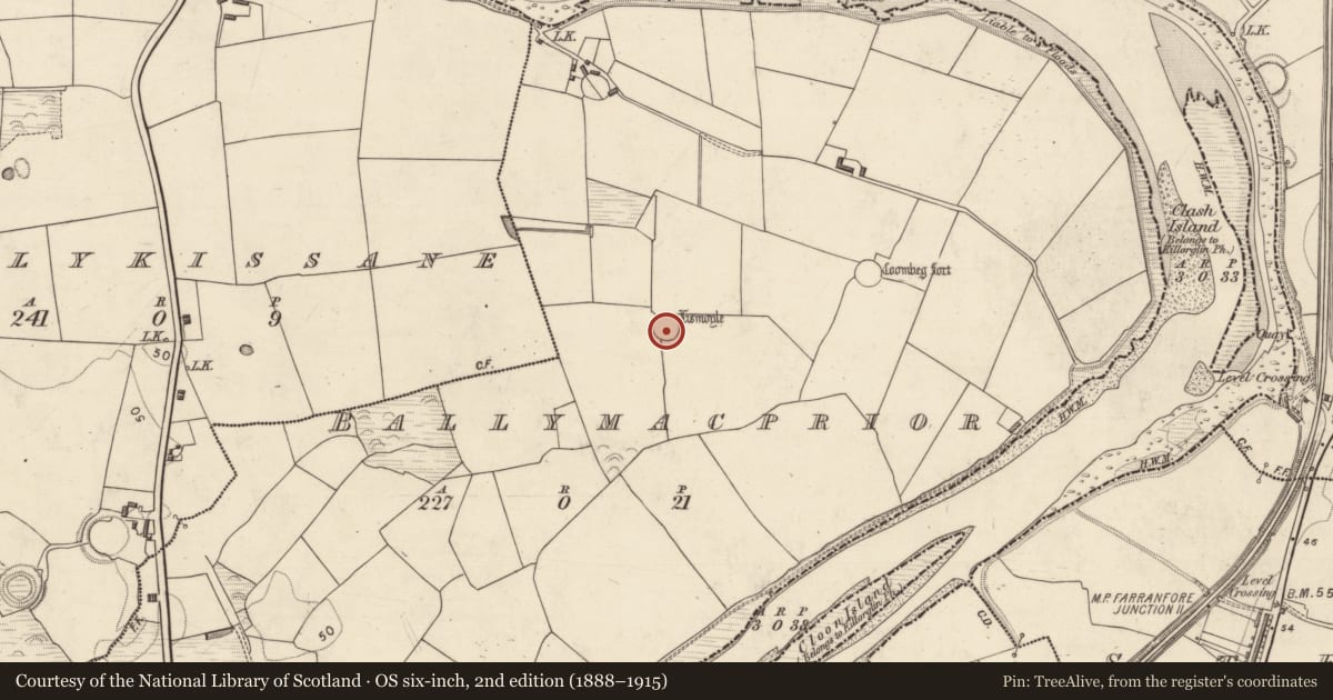 Ordnance Survey six-inch map, 2nd edition (1888–1915) covering the location of Ringfort - rath, Ballymacprior, County Kerry, with a pin at the register's coordinates
