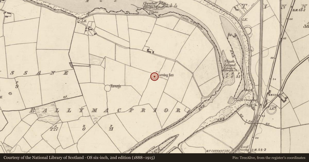 Ordnance Survey six-inch map, 2nd edition (1888–1915) covering the location of Ringfort - rath, Ballymacprior, County Kerry, with a pin at the register's coordinates