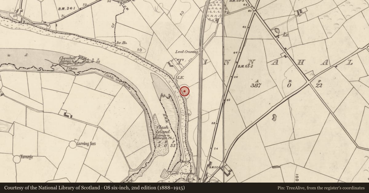 Ordnance Survey six-inch map, 2nd edition (1888–1915) covering the location of Ringfort - rath, Tinnahally, County Kerry, with a pin at the register's coordinates