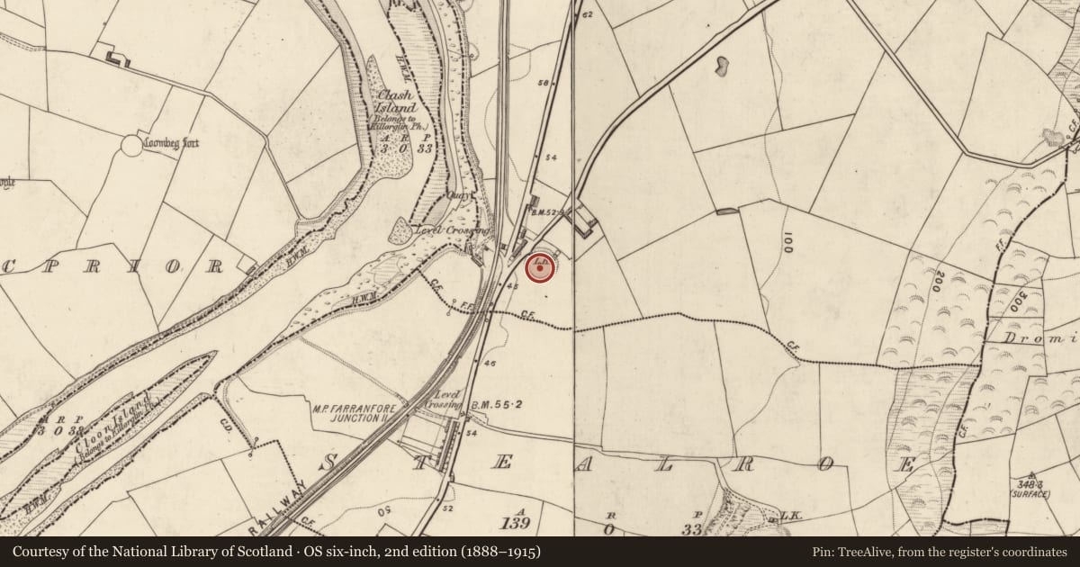 Ordnance Survey six-inch map, 2nd edition (1888–1915) covering the location of Enclosure, Tinnahally, County Kerry, with a pin at the register's coordinates