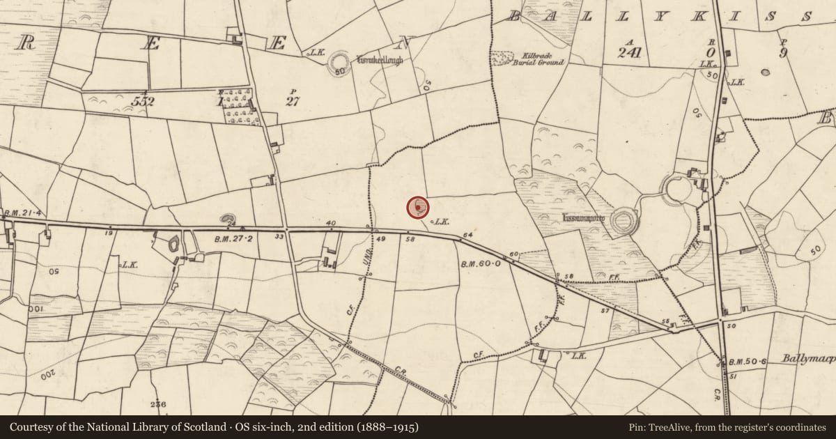 Ordnance Survey six-inch map, 2nd edition (1888–1915) covering the location of Ringfort - rath, Ballykissane, County Kerry, with a pin at the register's coordinates
