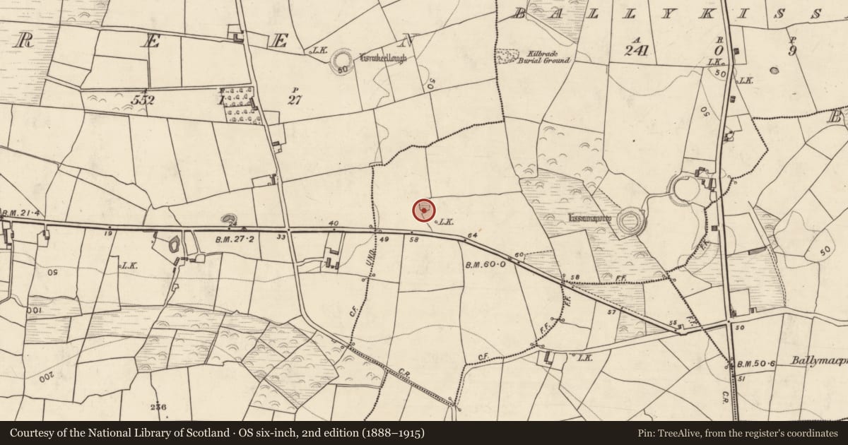 Ordnance Survey six-inch map, 2nd edition (1888–1915) covering the location of Souterrain, Ballykissane, County Kerry, with a pin at the register's coordinates