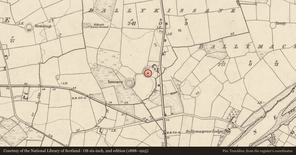 Ordnance Survey six-inch map, 2nd edition (1888–1915) covering the location of Souterrain, Ballykissane, County Kerry, with a pin at the register's coordinates