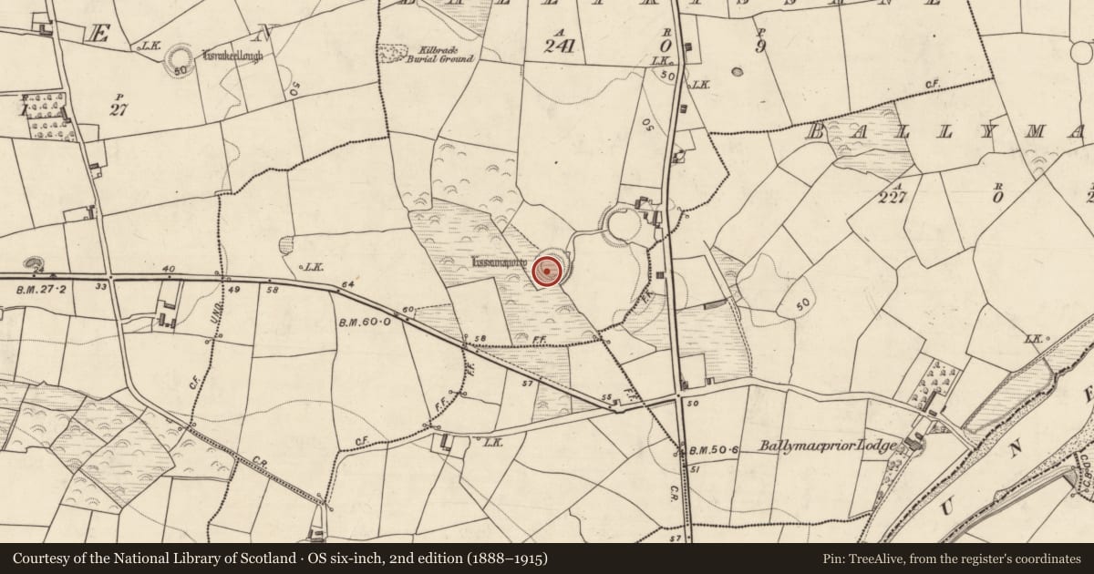 Ordnance Survey six-inch map, 2nd edition (1888–1915) covering the location of Ringfort - rath, Ballykissane, County Kerry, with a pin at the register's coordinates
