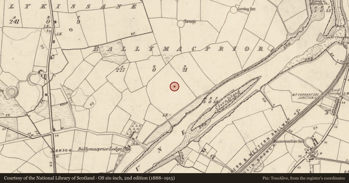 Ordnance Survey six-inch map, 2nd edition (1888–1915) covering the location of Standing stone, Ballymacprior, County Kerry, with a pin at the register's coordinates