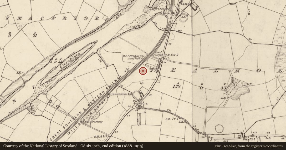 Ordnance Survey six-inch map, 2nd edition (1888–1915) covering the location of Enclosure, Stealroe, County Kerry, with a pin at the register's coordinates