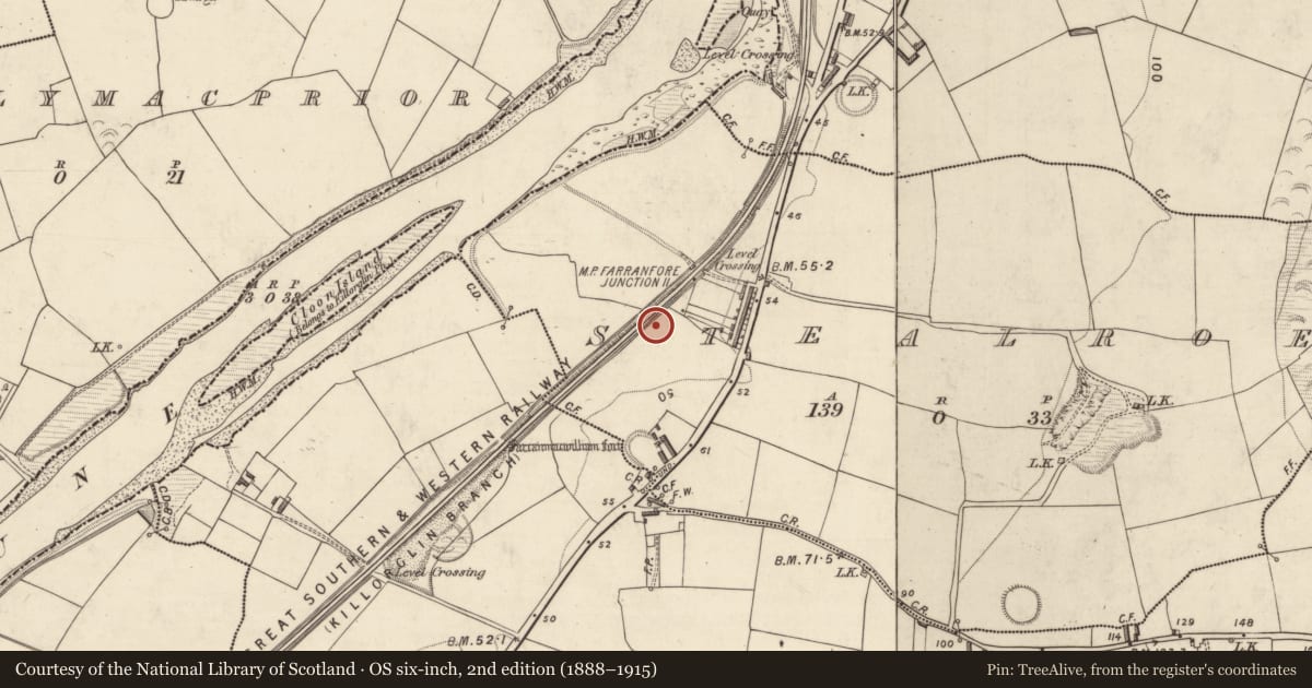 Ordnance Survey six-inch map, 2nd edition (1888–1915) covering the location of Standing stone, Stealroe, County Kerry, with a pin at the register's coordinates