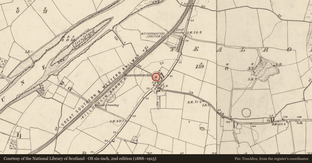 Ordnance Survey six-inch map, 2nd edition (1888–1915) covering the location of Ringfort - rath, Banshagh, Stealroe, County Kerry, with a pin at the register's coordinates