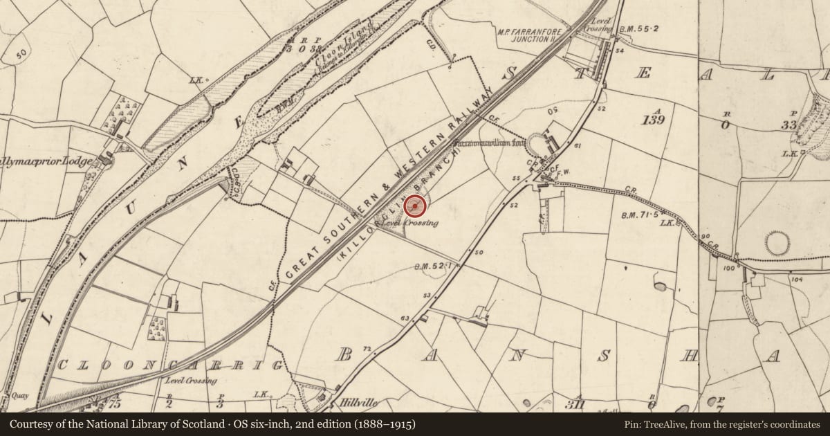 Ordnance Survey six-inch map, 2nd edition (1888–1915) covering the location of Ringfort - rath, Banshagh, County Kerry, with a pin at the register's coordinates
