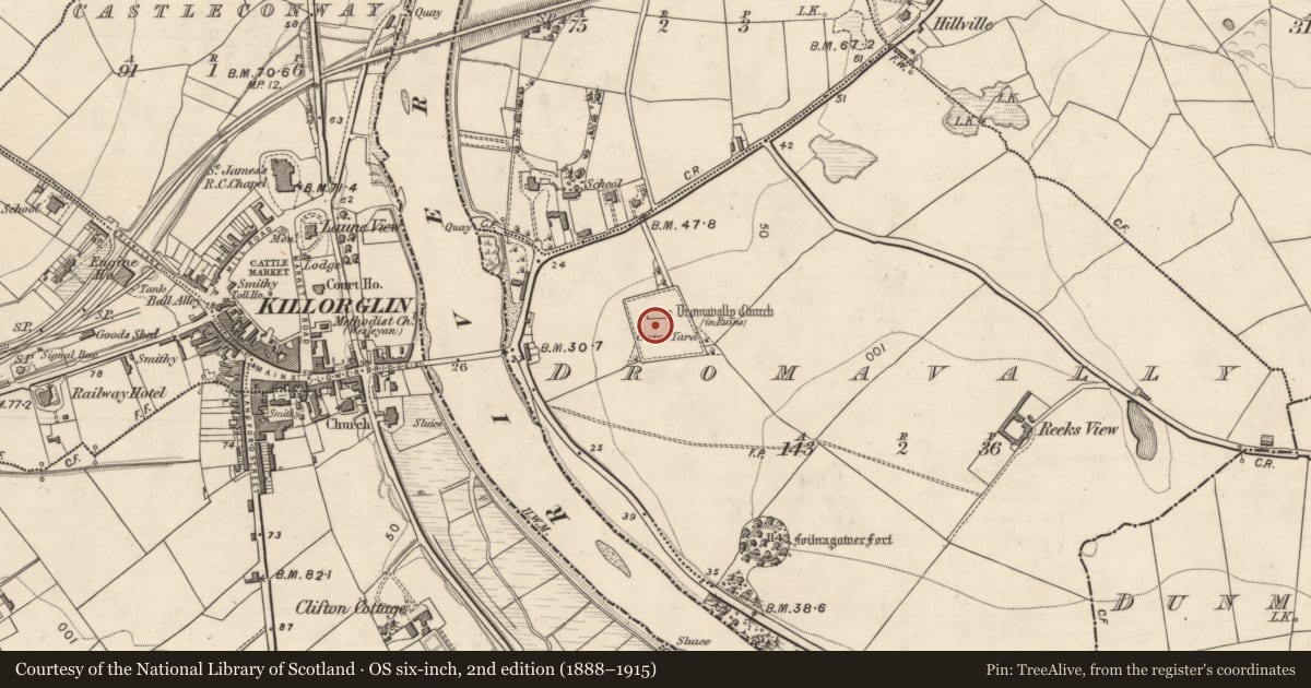 Ordnance Survey six-inch map, 2nd edition (1888–1915) covering the location of Graveyard, Dromavally, County Kerry, with a pin at the register's coordinates