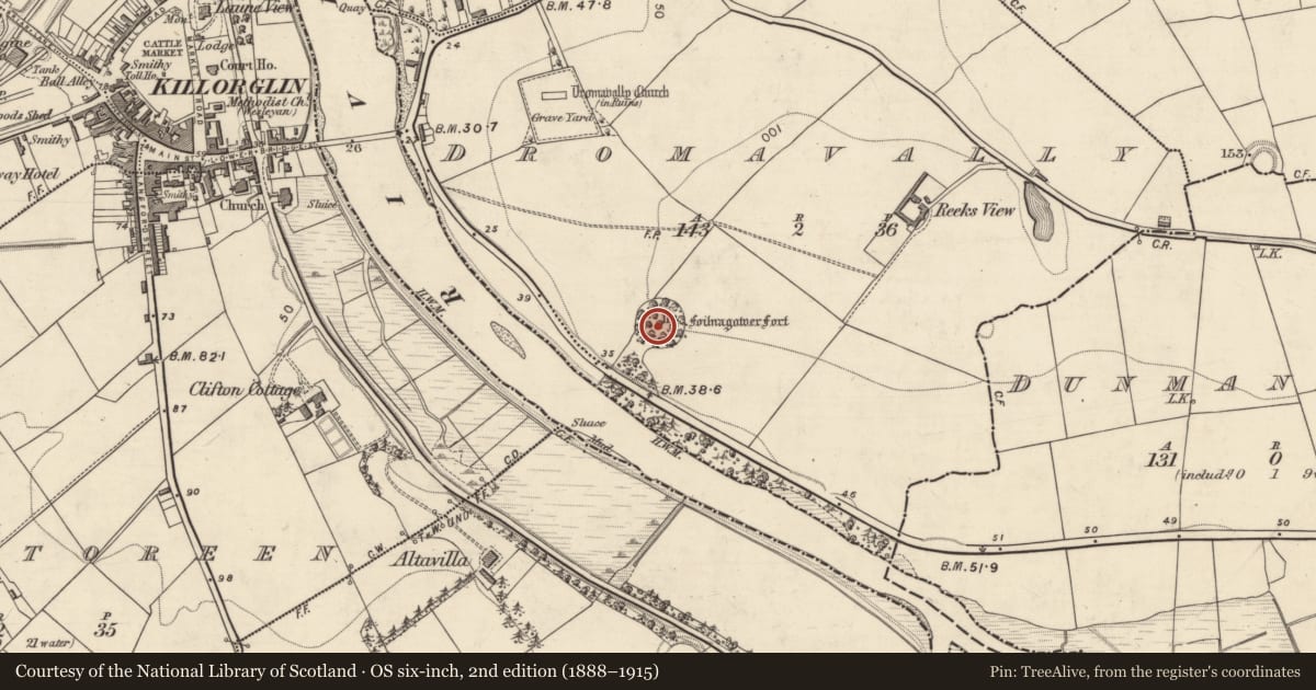 Ordnance Survey six-inch map, 2nd edition (1888–1915) covering the location of Ringfort - rath, Dromavally, County Kerry, with a pin at the register's coordinates