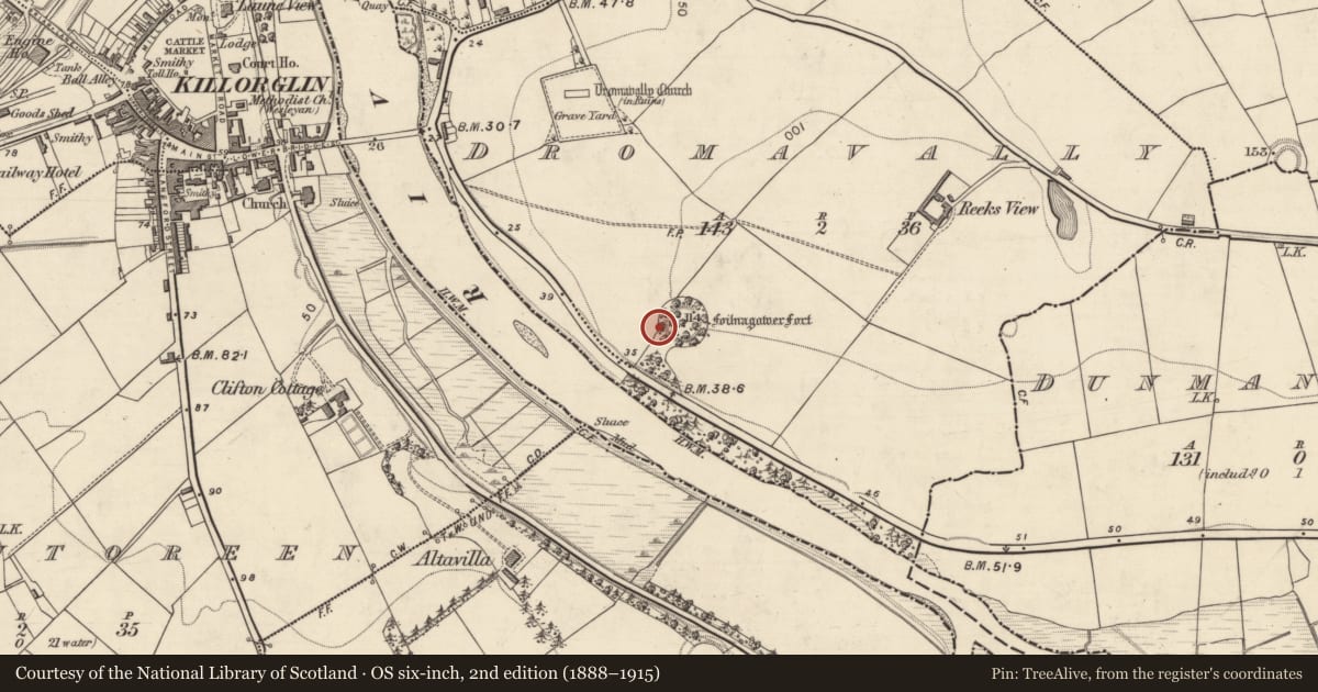 Ordnance Survey six-inch map, 2nd edition (1888–1915) covering the location of Souterrain, Dromavally, County Kerry, with a pin at the register's coordinates
