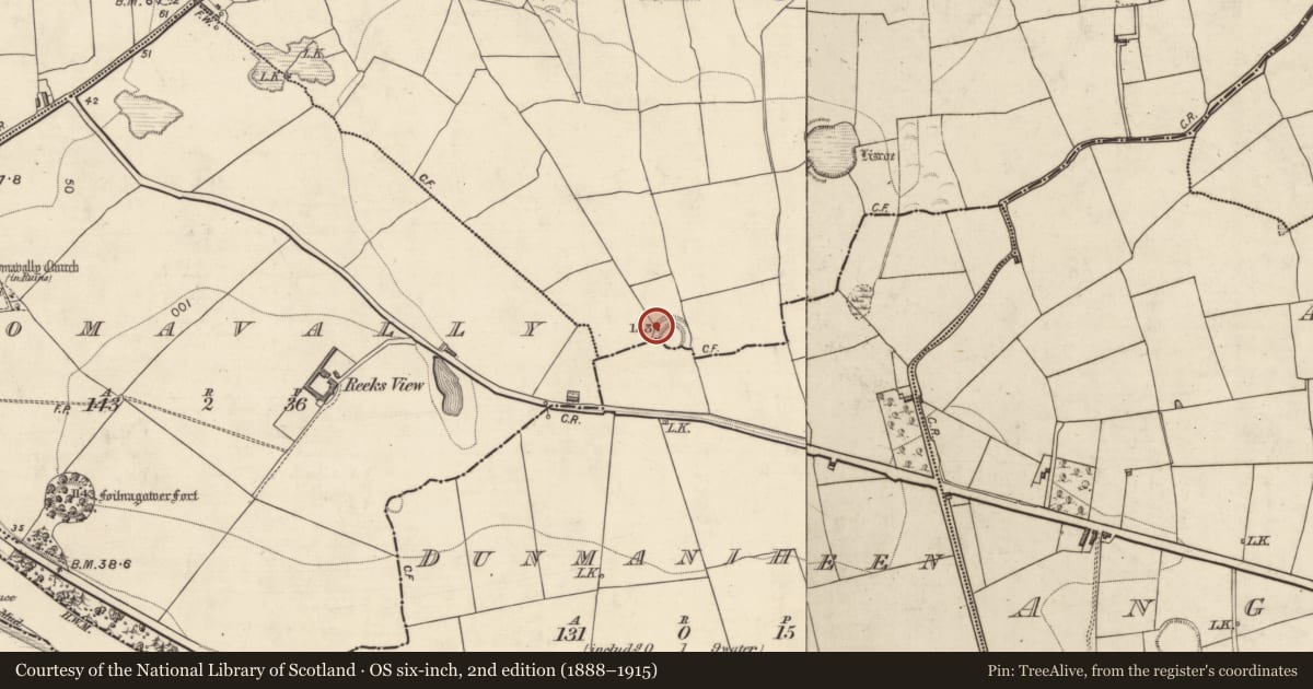 Ordnance Survey six-inch map, 2nd edition (1888–1915) covering the location of Souterrain, Banshagh, County Kerry, with a pin at the register's coordinates
