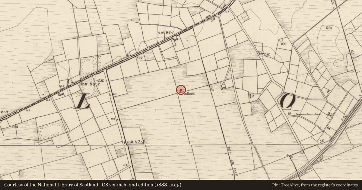 Ordnance Survey six-inch map, 2nd edition (1888–1915) covering the location of Standing stone, Tooreennasliggaun, County Kerry, with a pin at the register's coordinates