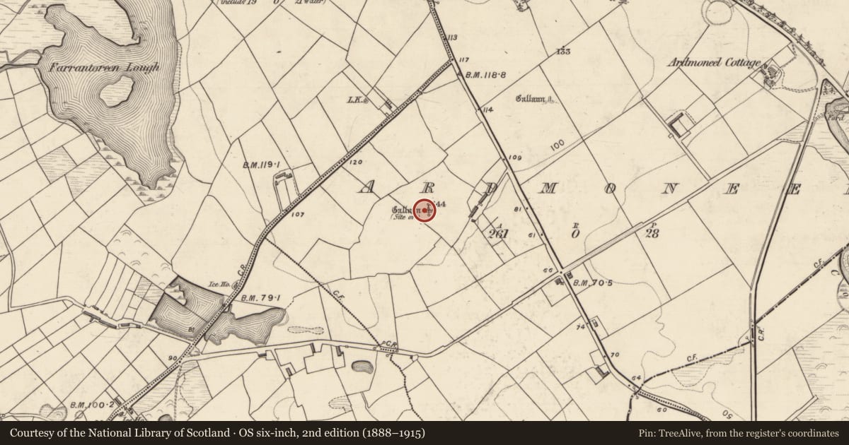 Ordnance Survey six-inch map, 2nd edition (1888–1915) covering the location of Standing stone, Ardmoneel, County Kerry, with a pin at the register's coordinates