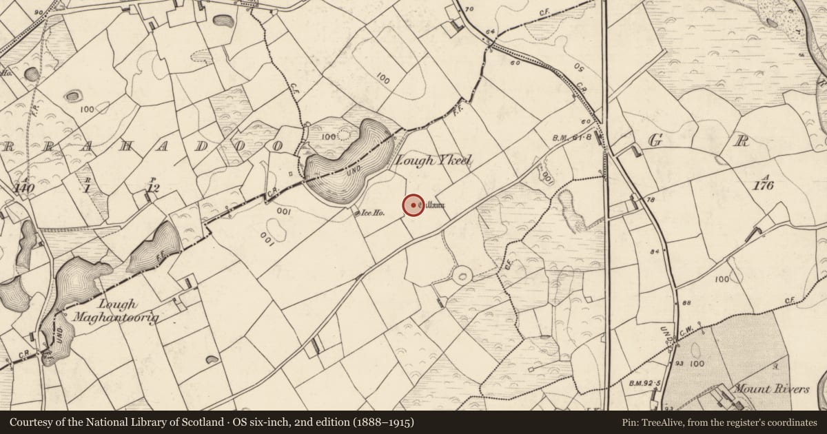 Ordnance Survey six-inch map, 2nd edition (1888–1915) covering the location of Standing stone, Knocknaboola, County Kerry, with a pin at the register's coordinates