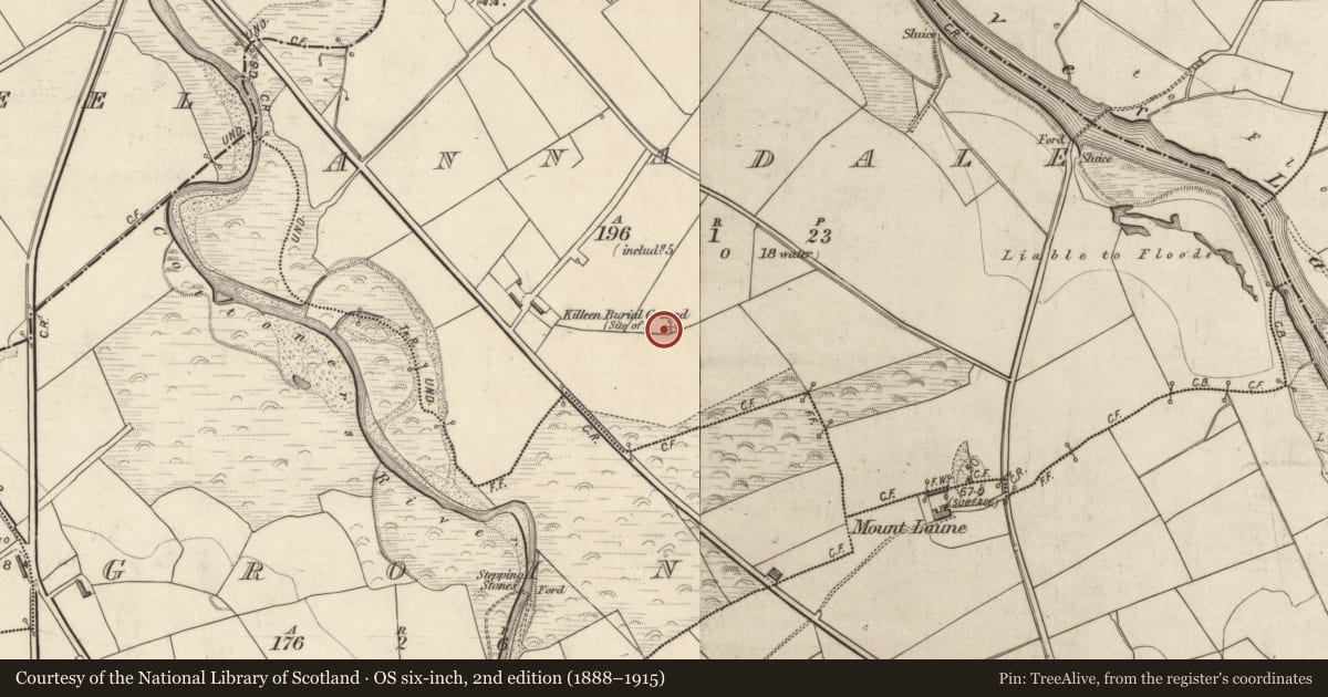 Ordnance Survey six-inch map, 2nd edition (1888–1915) covering the location of Children's burial ground, Annadale, County Kerry, with a pin at the register's coordinates