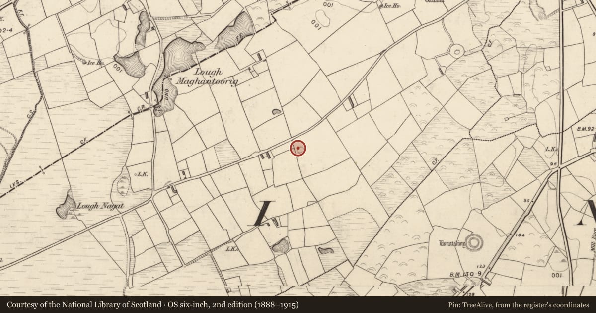 Ordnance Survey six-inch map, 2nd edition (1888–1915) covering the location of Enclosure, Knocknaboola, County Kerry, with a pin at the register's coordinates