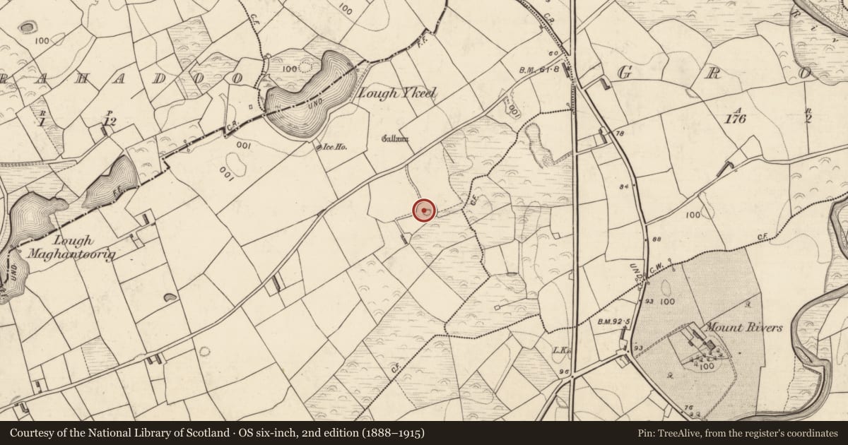 Ordnance Survey six-inch map, 2nd edition (1888–1915) covering the location of Enclosure, Knocknaboola, County Kerry, with a pin at the register's coordinates