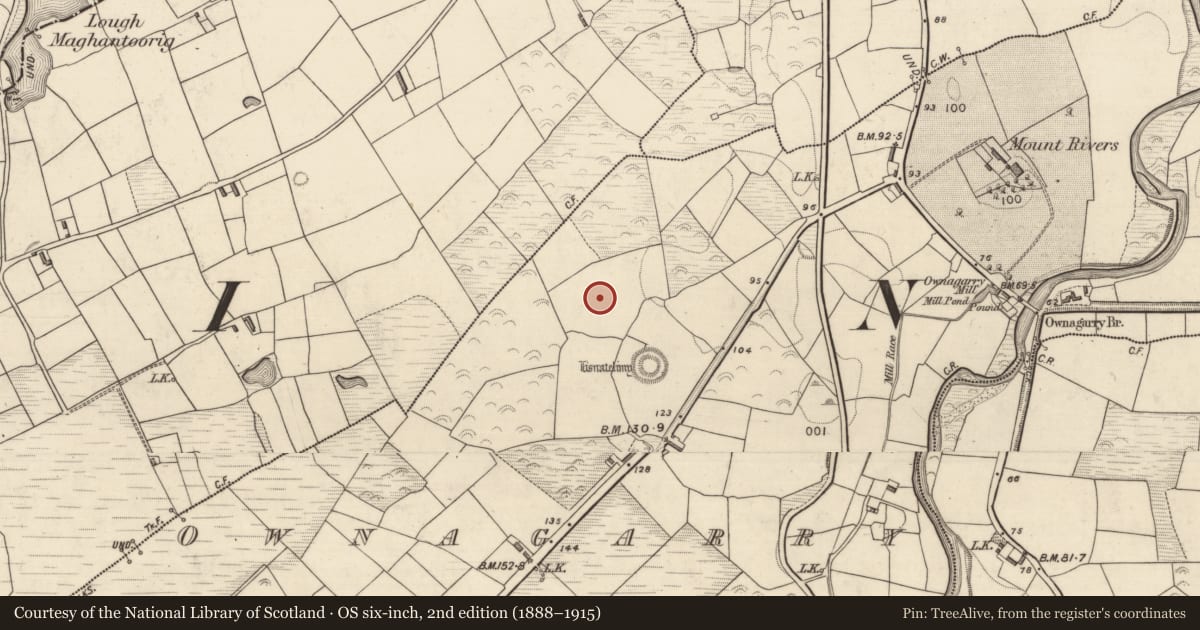 Ordnance Survey six-inch map, 2nd edition (1888–1915) covering the location of Standing stone, Ownagarry, County Kerry, with a pin at the register's coordinates