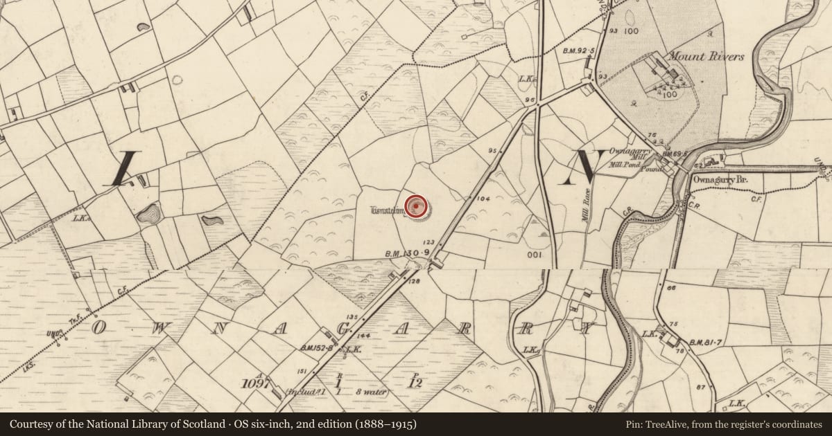 Ordnance Survey six-inch map, 2nd edition (1888–1915) covering the location of Hut site, Ownagarry, County Kerry, with a pin at the register's coordinates