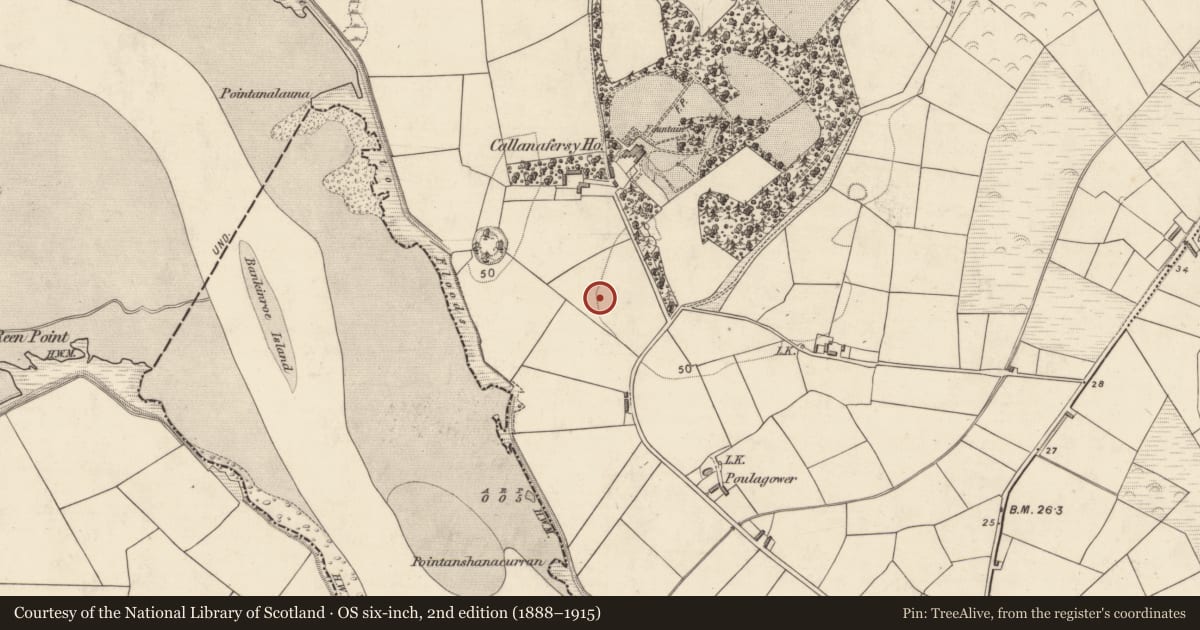 Ordnance Survey six-inch map, 2nd edition (1888–1915) covering the location of Burnt spread, Callanafersy West, County Kerry, with a pin at the register's coordinates