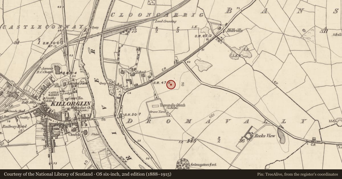Ordnance Survey six-inch map, 2nd edition (1888–1915) covering the location of Souterrain, Dromavally, County Kerry, with a pin at the register's coordinates