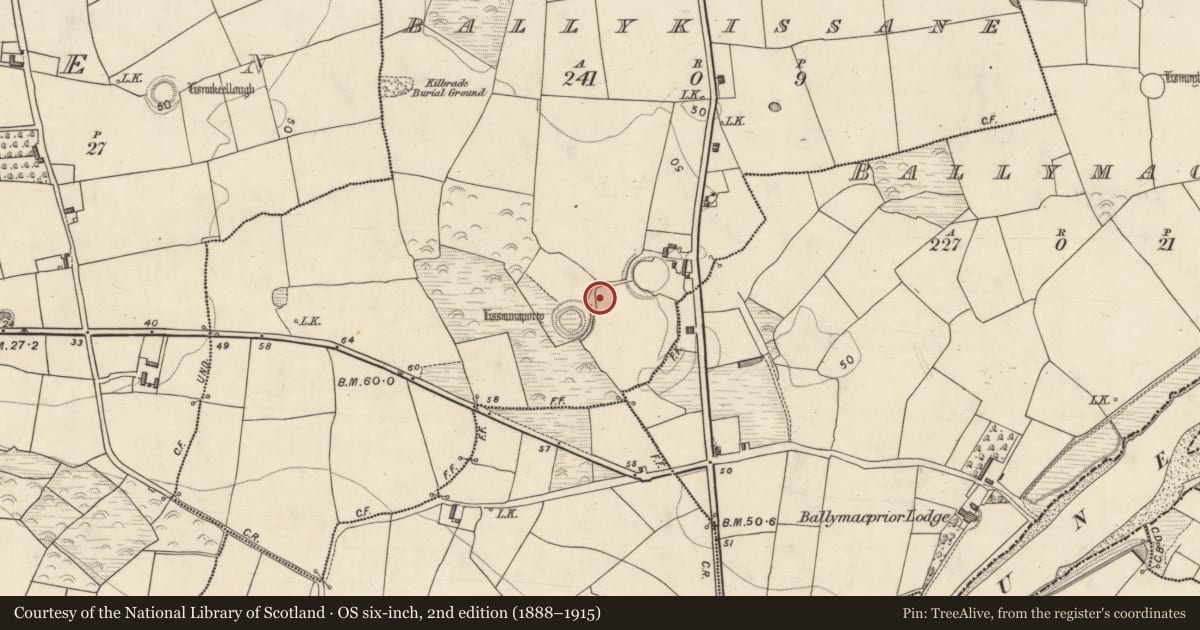 Ordnance Survey six-inch map, 2nd edition (1888–1915) covering the location of Enclosure, Ballykissane, County Kerry, with a pin at the register's coordinates