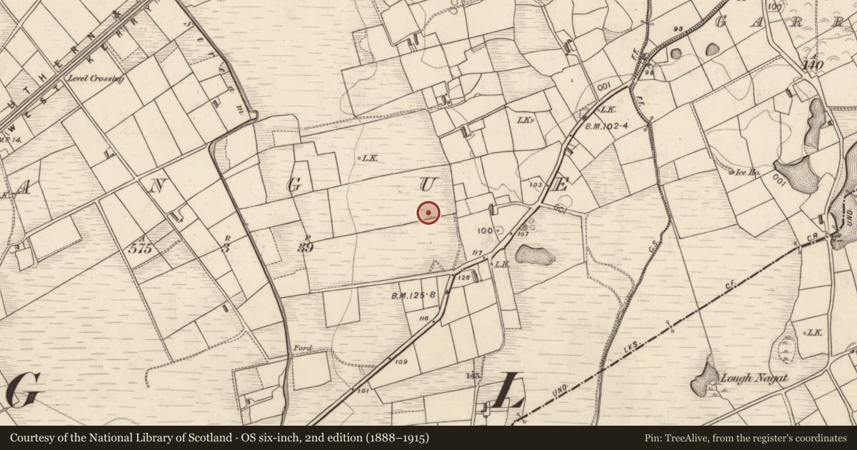 Ordnance Survey six-inch map, 2nd edition (1888–1915) covering the location of Burnt spread, Rangue, County Kerry, with a pin at the register's coordinates