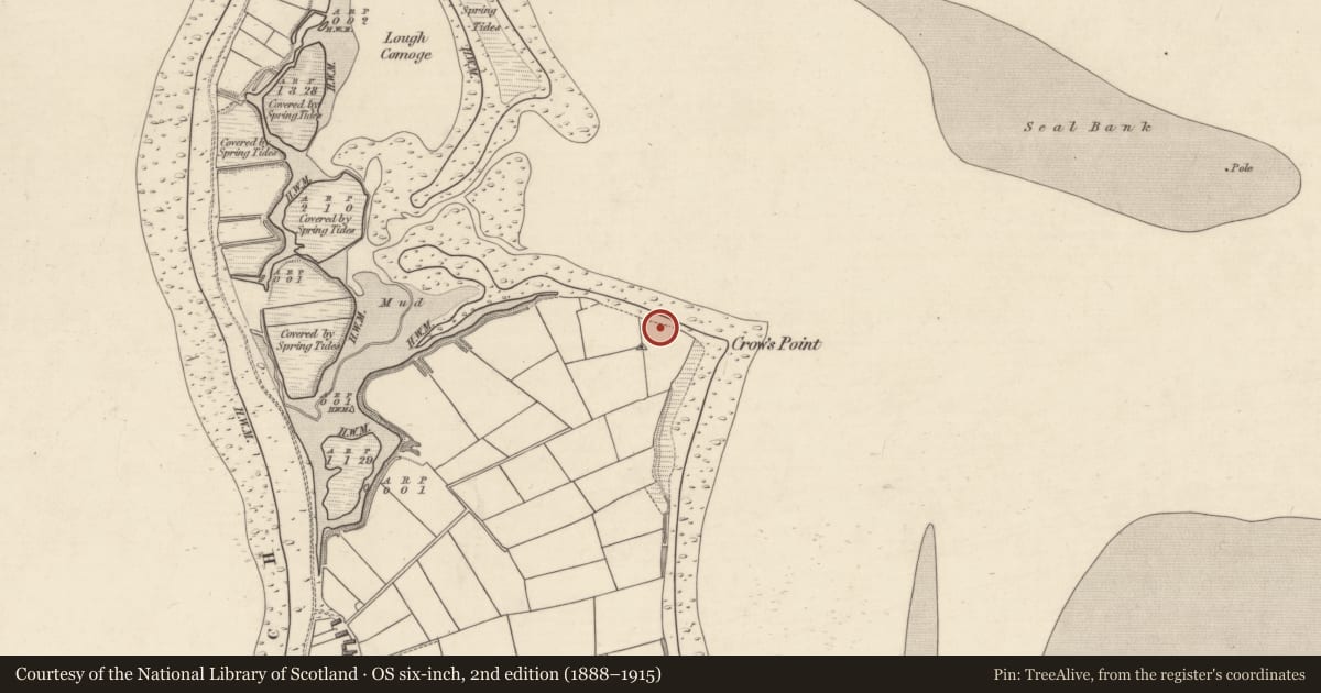 Ordnance Survey six-inch map, 2nd edition (1888–1915) covering the location of Midden, Cromane Lower, County Kerry, with a pin at the register's coordinates