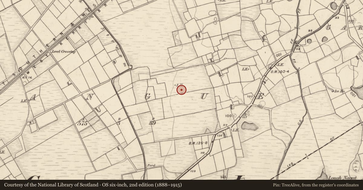 Ordnance Survey six-inch map, 2nd edition (1888–1915) covering the location of Standing stone, Rangue, County Kerry, with a pin at the register's coordinates