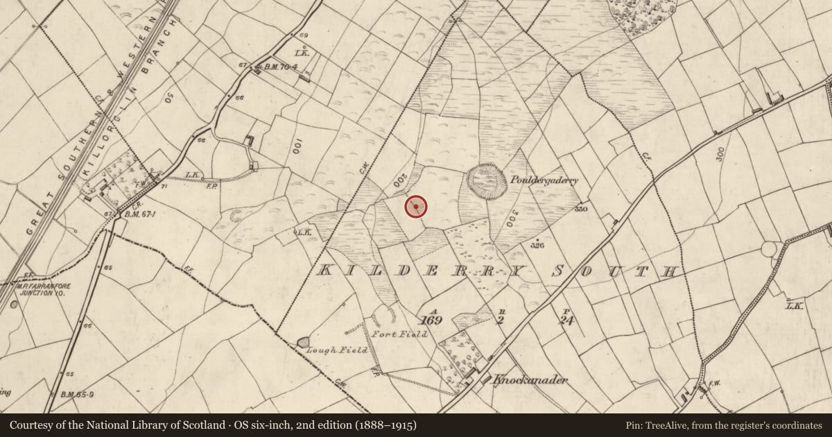 Ordnance Survey six-inch map, 2nd edition (1888–1915) covering the location of Ringfort - rath, Kilderry South, County Kerry, with a pin at the register's coordinates