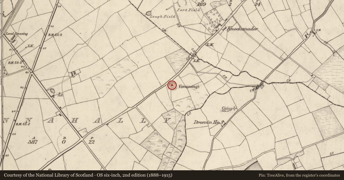 Ordnance Survey six-inch map, 2nd edition (1888–1915) covering the location of Hut site, Tinnahally, County Kerry, with a pin at the register's coordinates