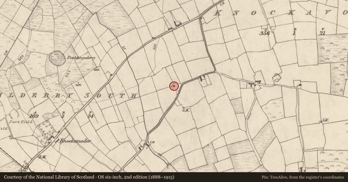 Ordnance Survey six-inch map, 2nd edition (1888–1915) covering the location of Souterrain, Knockagarrane, County Kerry, with a pin at the register's coordinates