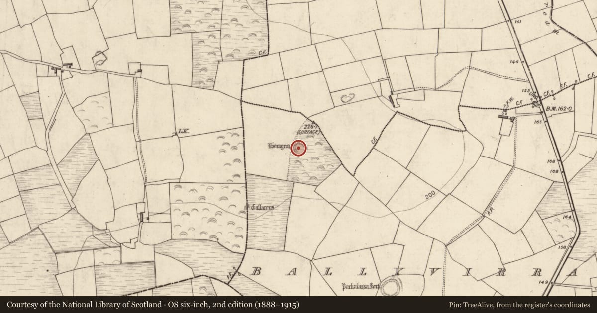 Ordnance Survey six-inch map, 2nd edition (1888–1915) covering the location of Ringfort - rath, Ballyvirrane, County Kerry, with a pin at the register's coordinates