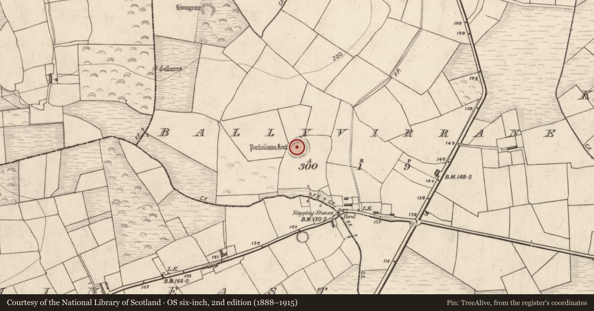 Ordnance Survey six-inch map, 2nd edition (1888–1915) covering the location of Ringfort - rath, Ballyvirrane, County Kerry, with a pin at the register's coordinates