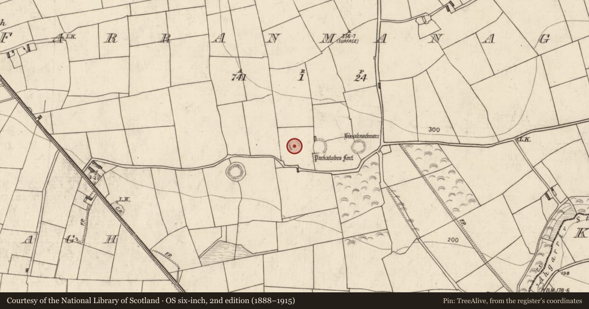 Ordnance Survey six-inch map, 2nd edition (1888–1915) covering the location of Ringfort - rath, Farranmanagh, County Kerry, with a pin at the register's coordinates