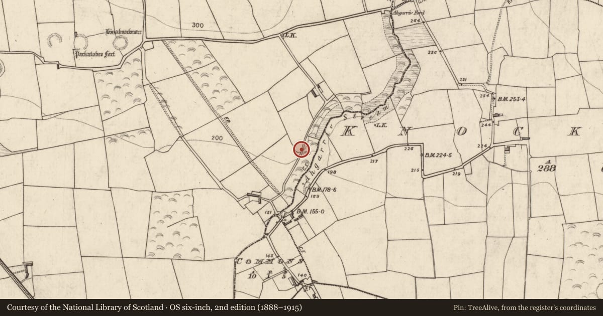 Ordnance Survey six-inch map, 2nd edition (1888–1915) covering the location of Ringfort - rath, Farranmanagh, County Kerry, with a pin at the register's coordinates