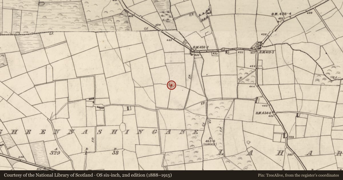 Ordnance Survey six-inch map, 2nd edition (1888–1915) covering the location of Ringfort - rath, Lisheennashingane, County Kerry, with a pin at the register's coordinates