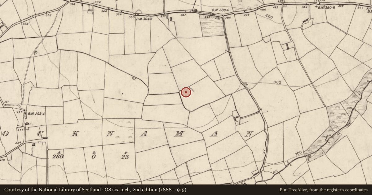 Ordnance Survey six-inch map, 2nd edition (1888–1915) covering the location of Ringfort - rath, Lisheennashingane, County Kerry, with a pin at the register's coordinates